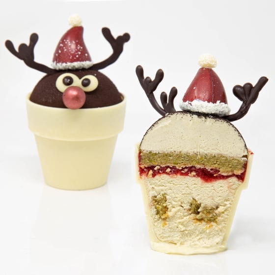 FLOWER POT RUDOLPH